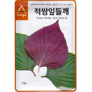 적쌈잎들깨씨앗 10g 깻잎씨앗