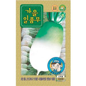 가을일품 김장 무씨앗 2000립