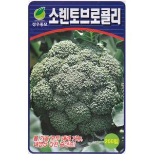 브로콜리씨앗 200립