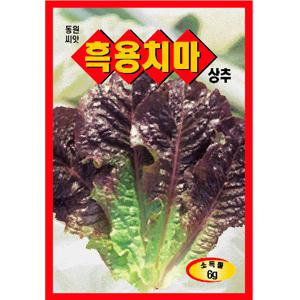 흑용치마 상추씨앗 6g