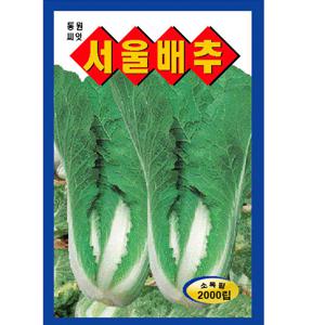 서울 배추씨앗 2000립 얼갈이 씨앗
