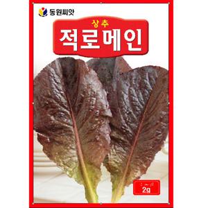적로메인 상추씨앗 2g 부드럽고 아삭 쌈채소 씨앗
