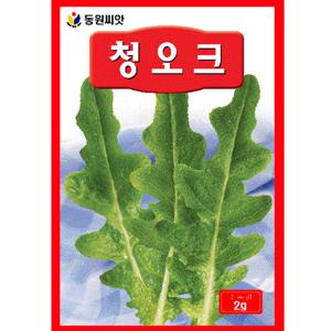 청오크씨앗 2g 상추씨앗