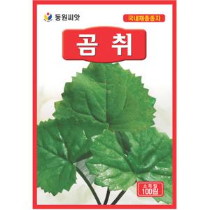 곰취씨앗 100립