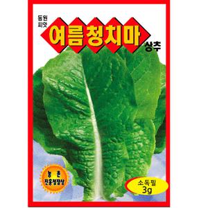 여름 청치마 상추씨앗 3g