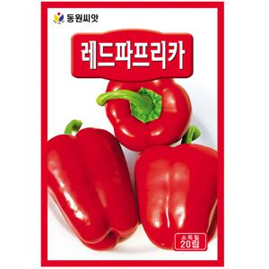 레드 파프리카씨앗 20립