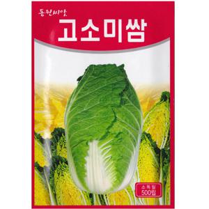 고소미 쌈배추씨앗 500립