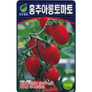 홍추아롱 대추토마토씨앗 100립