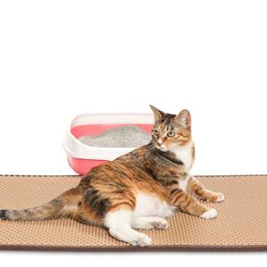 고양이 사막화방지 뽕뽕매트 (대형,특대형) 2size 4colors