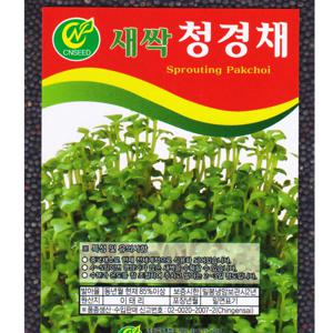 새싹 청경채씨앗 30g