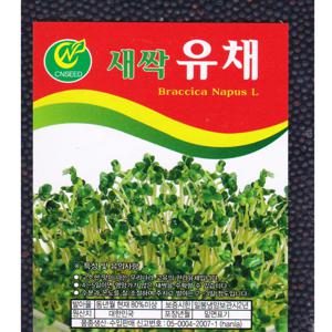 새싹유채씨앗 / 30g 새싹씨앗