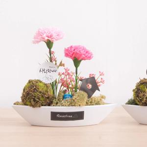 비누 카네이션 조화 화분 베이직 set 19cm 2컬러 꽃 어버이날