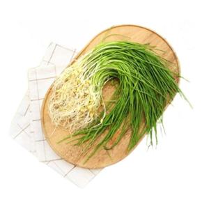 국내산 달래 1kg