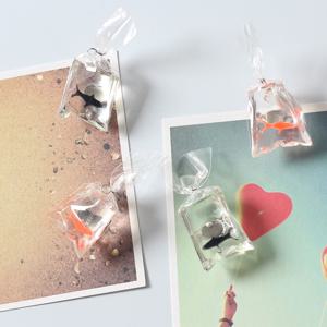 작지만 강력한 물고기 봉지 4세트 냉장고자석 귀여운 마그넷 마그네틱 현관문 칠판 자석