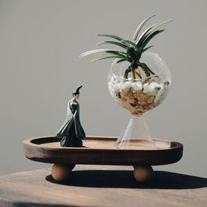소엽풍란 유리볼스탠드 월하선녀DIY세트
