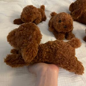 무릎인형_강아지 토이푸들 SS사이즈(히자완꼬)