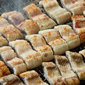 100% 국내산 자포니카 팔뚝 민물장어 1kg 뼈&머리포함
