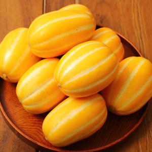 토댁 성주 참외 실속형 5kg