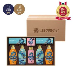 LG 선물세트 AI 청룡에디션 프리미엄세트 x 4개