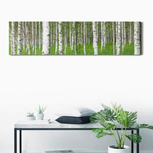 1981자작나무숲-와이드4x1 /우드노프레임 캔버스판넬액자 메탈 아크릴 프레임액자