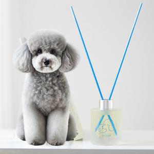 아로마 고양이 강아지디퓨저 파스텔블루 160ml