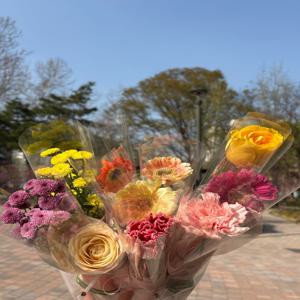 꽃 한송이 포장 카네이션 생화택배 답례품 단체
