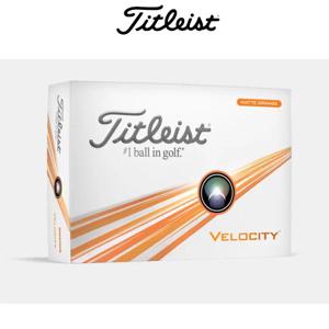 벨로시티 VELOCITY 화이트 골프볼 골프공 12구 2피스