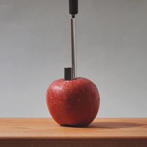 애플 코러(Apple corer)