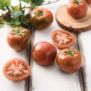 부산 산지직송 특품 대저토마토 짭짤이 2.5kg 소과