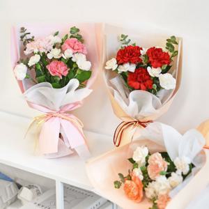 카네이션 미니 꽃다발 어버이날 가정의달 스승의날 효도선물 감사카드 세트 꽃선물