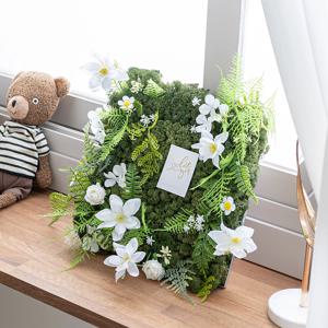 스칸디아모스 공기정화식물 액자 공기정화 42x40 벽 테이블장식 조화