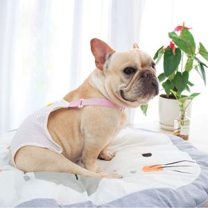 강아지 고양이 위생 생리 팬티 매너벨트 기저귀