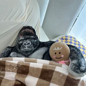 고릴라 남친 인형쿠션 쓸데없는 선물