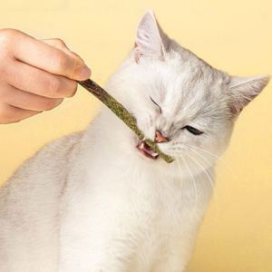 고양이 마따따비 캣닢스틱 빼빼로 6p 2세트