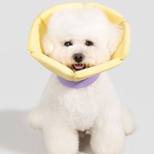 강아지 고양이 넥카라 애견 쿠션 깔대기 목보호대 꽃받침