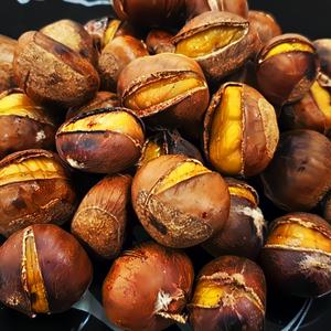 공주 햇밤/약단밤/생율밤 1kg 택1 (칼집)