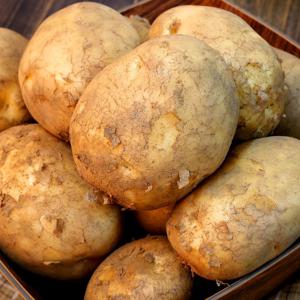 국내산 햇 두백감자 2kg~10kg 소/중/대/특/왕특