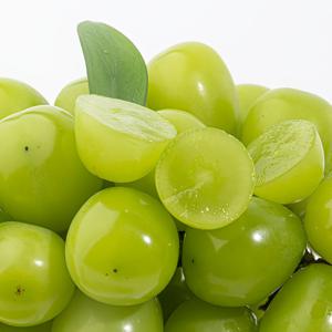 오톰크리스피 1kg~2kg 애플 청포도 씨없는 포도