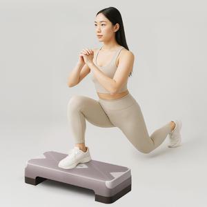 이고진 스텝박스 2단 계단운동기구 스테퍼 스텝퍼 홈트 헬스