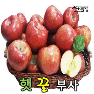 경북사과 햇 꿀 부사 사과5kg (16~20과 내외) 가정용 / 산들정