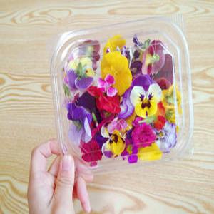 식용꽃 100송이 혼합 (대용량)