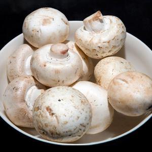 [충남 부여] 못난이 양송이 버섯 1kg / B품