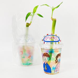 [오피스스쿨] 개운죽 키우기 10인세트 DIY 식물키우기 화분만들기