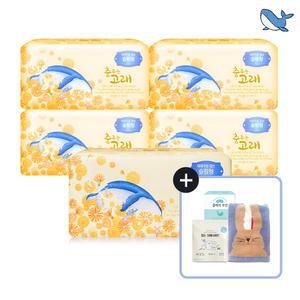 춤추는고래 대용량 슬림 팬티라이너 40P X 5팩 /200매