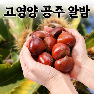 푸릇푸릇 국산 약단밤 공주밤 알밤 약밤 (특대사이즈 2kg)