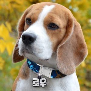 주문제작 반려동물 목걸이 이름표 인식표 강아지목줄 강아지 네임택 고양이목줄 고양이 네임택