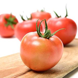 매일수확 안동선농장 땅에서 키운 새콤달콤 찰 토마토 5kg