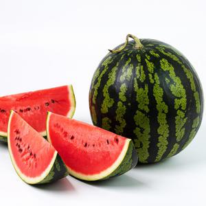 가비성 좋은 가정용 못나니 수박 3-4kg