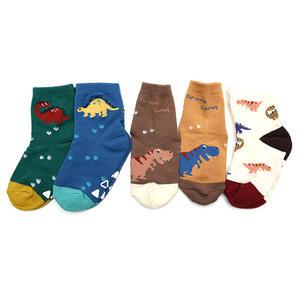 사우르스 5족 아동 공룡 양말 세트 남아 키즈 어린이 아기 유아