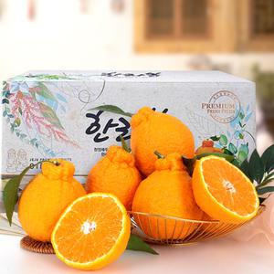 고랑몰라 가락시장 발송 가정용 한라봉 선물세트